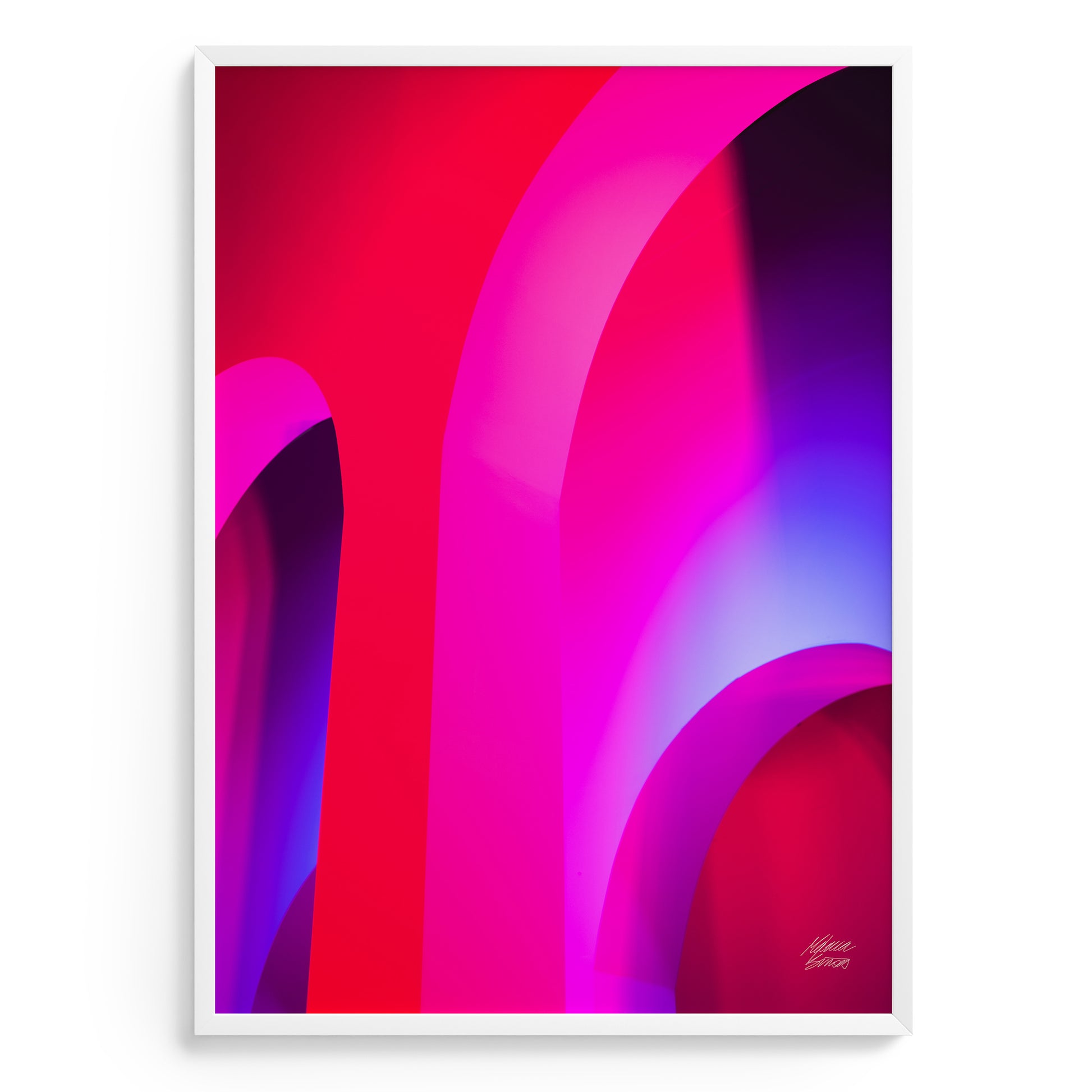 Abstract fine art photography with pink and purple curved shapes on a white background